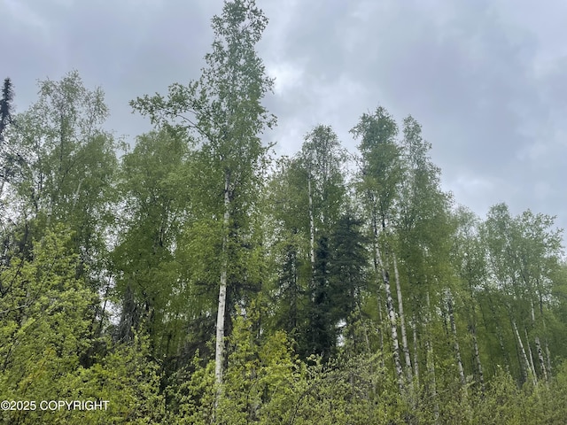 14968 Gyrfalcon Dr, Willow, AK 99688