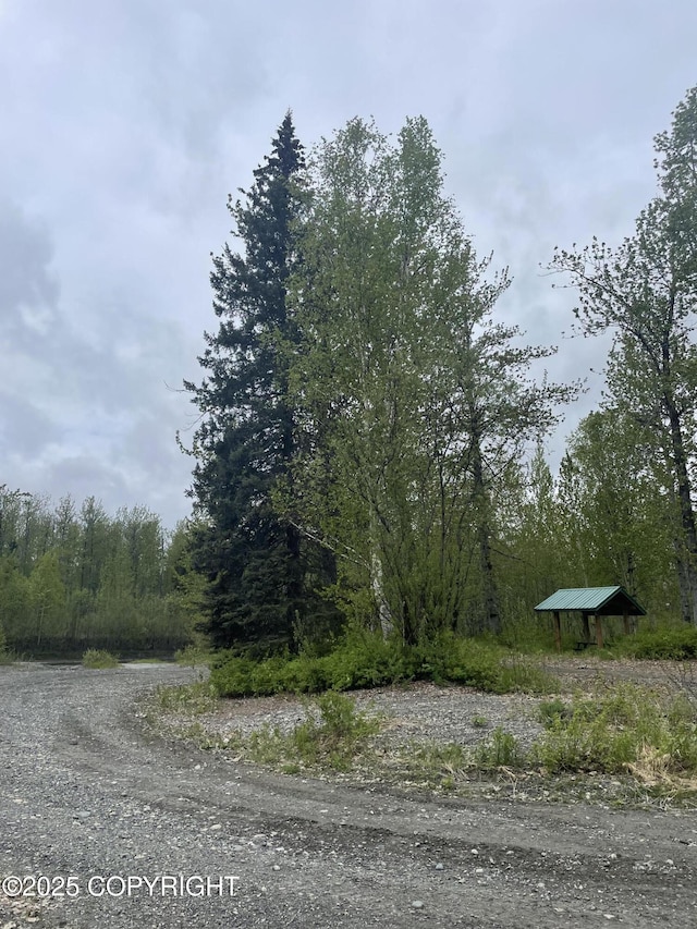 14968 Gyrfalcon Dr, Willow, AK 99688
