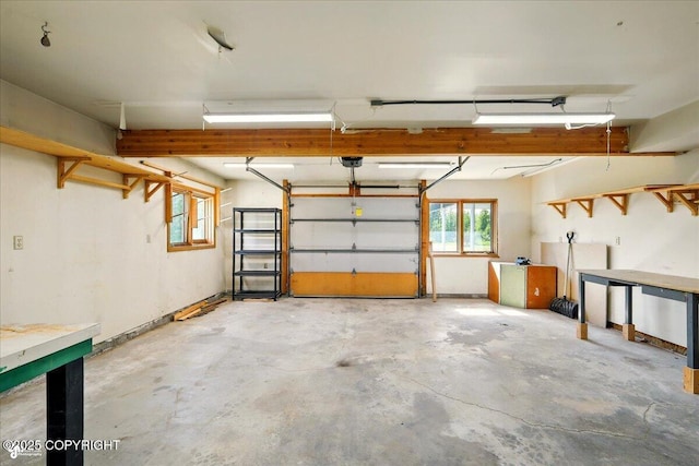 4035 S Tustin Dr, Palmer, AK 99645 - garage with a garage door opener