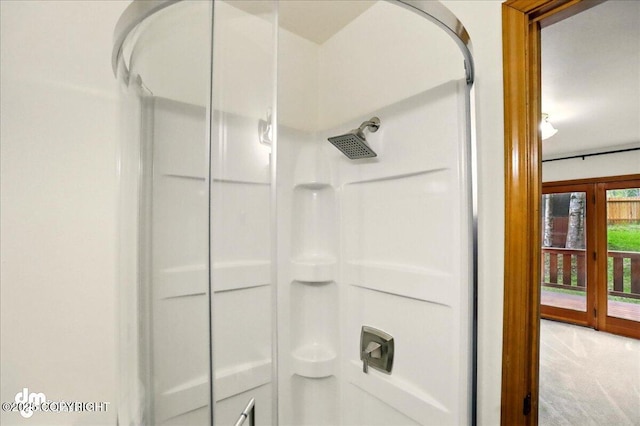 4320 Seeley Cir, Anchorage, AK 99502 - bathroom view of walk in shower and carpet
