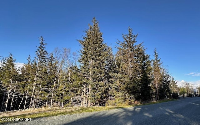 L8B8 Skyline Dr, Haines, AK 99827