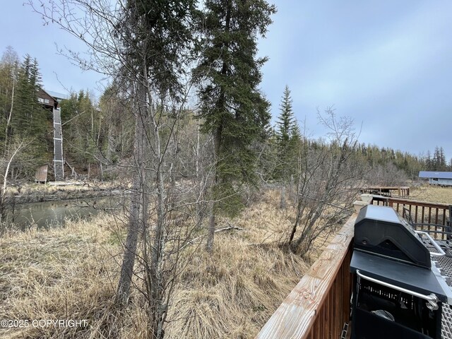 35191 Kaltag Lp, Soldotna, AK 99669 - photo 33