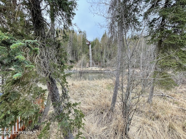 35191 Kaltag Lp, Soldotna, AK 99669 - photo 34