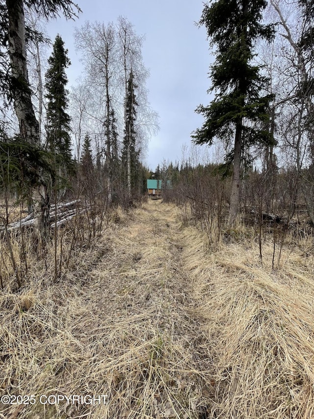 35191 Kaltag Lp, Soldotna, AK 99669 - photo 20