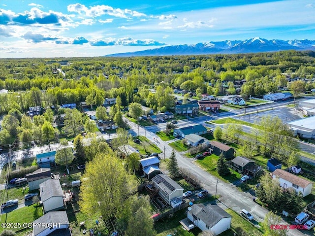 drone / aerial view of a mountainous background and a forest