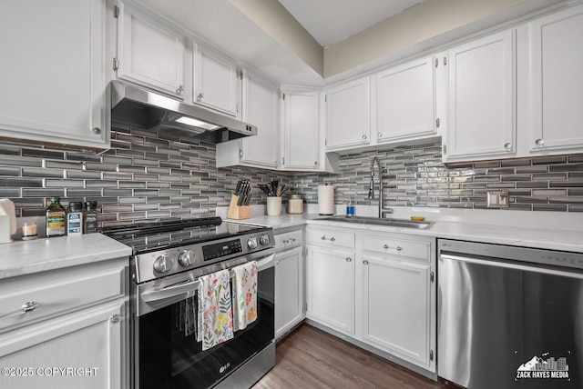 1507 W 47th Ave, Anchorage, AK 99503 - kitchen with stainless steel appliances, under cabinet range hood, and white cabinetry