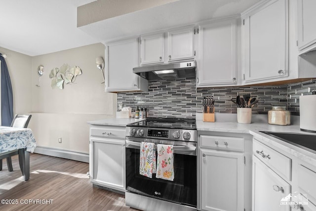 1507 W 47th Ave, Anchorage, AK 99503 - kitchen featuring stainless steel range with electric stovetop, under cabinet range hood, baseboard heating, and tasteful backsplash