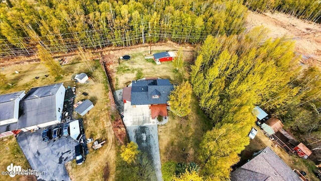 aerial view of a forest