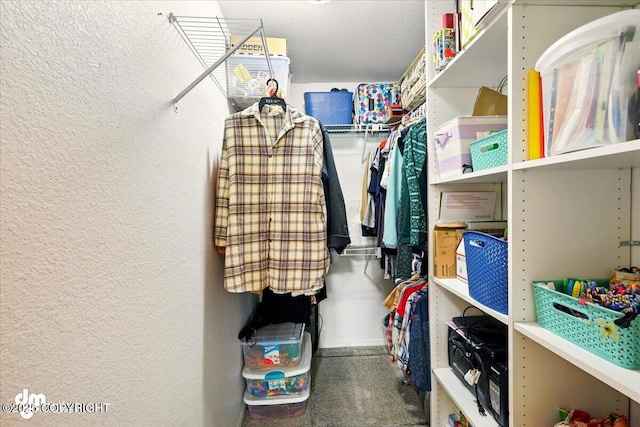 walk in closet with carpet