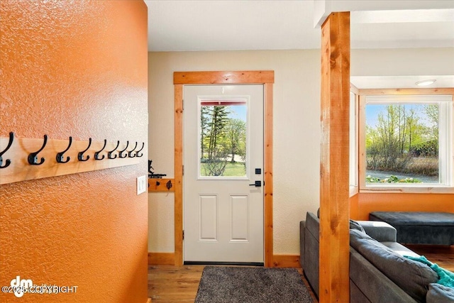 entryway featuring wood finished floors, healthy amount of natural light, baseboards, and a textured wall