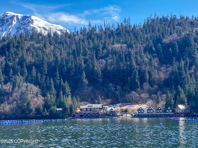 water view with a heavily wooded area and mountains