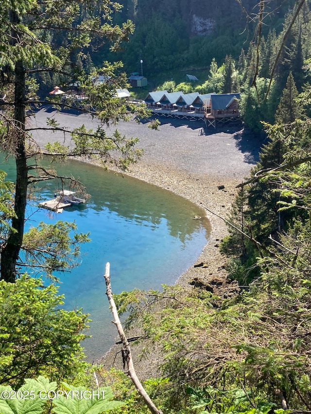 water view featuring a forest
