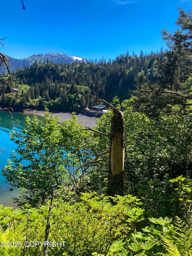 water view featuring a mountain backdrop and a forest