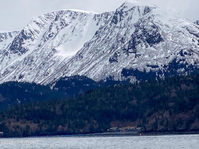 view of mountain background with a forest and a nearby body of water