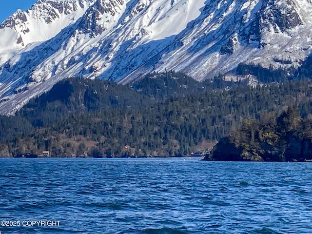 water view with a heavily wooded area and a mountain backdrop