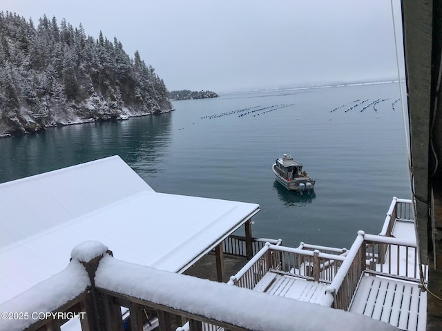 dock area with a water view