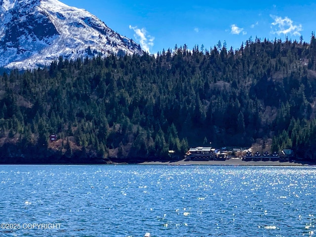 water view featuring a forest and a mountain backdrop