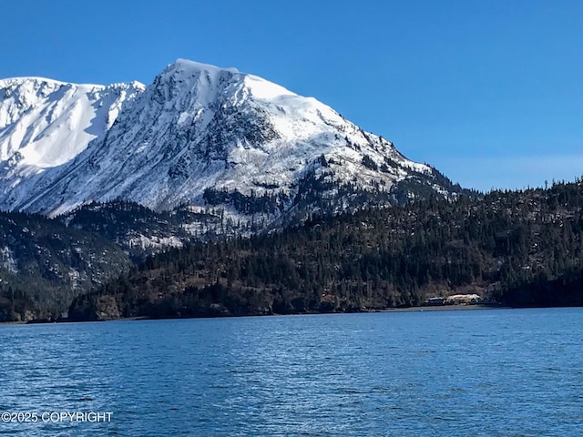 water view featuring a mountainous background and a forest