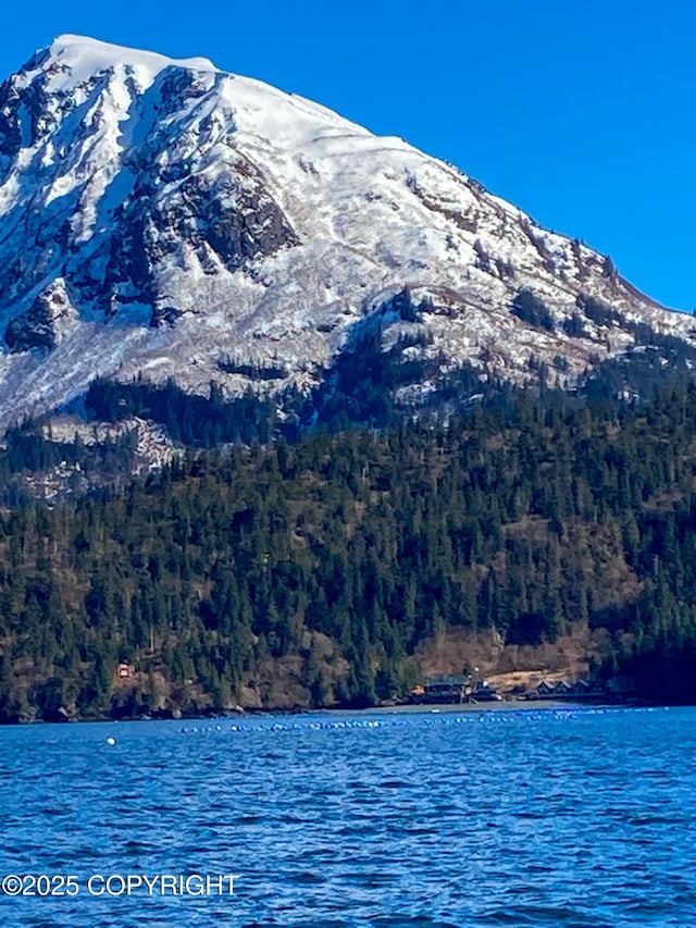 water view with a mountainous background and a forest