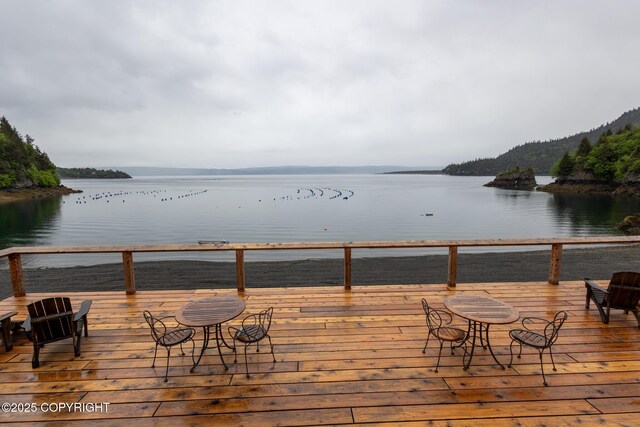 50815 Halibut Cove Rem SW, Homer, AK 99603 - photo 38