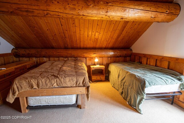 50815 Halibut Cove Rem SW, Homer, AK 99603 - photo 25