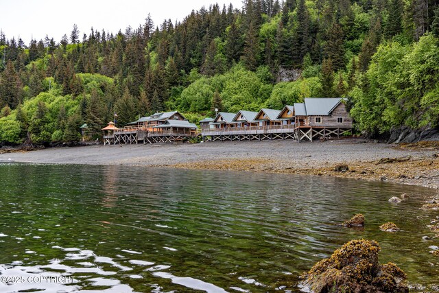 50815 Halibut Cove Rem SW, Homer, AK 99603 - photo 6
