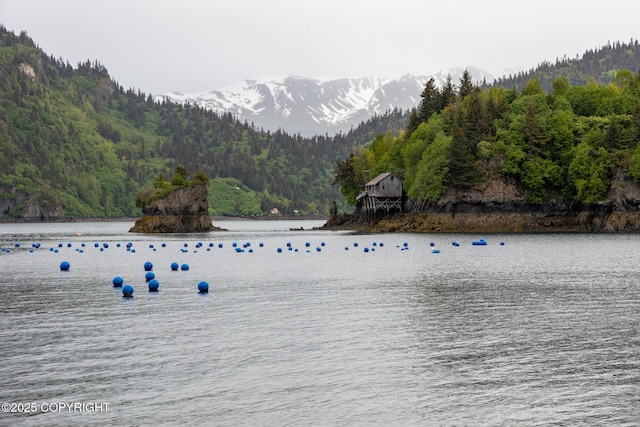 50815 Halibut Cove Rem SW, Homer, AK 99603 - photo 65