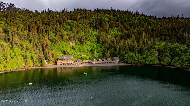 50815 Halibut Cove Rem SW, Homer, AK 99603 - photo 66