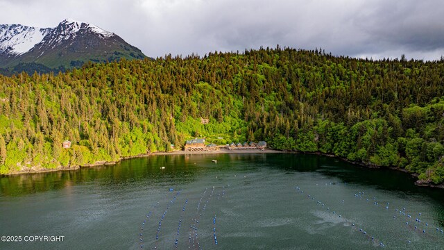 50815 Halibut Cove Rem SW, Homer, AK 99603 - photo 67
