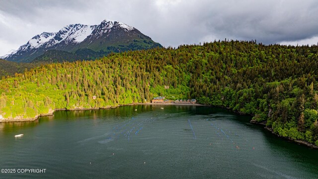 50815 Halibut Cove Rem SW, Homer, AK 99603 - photo 68
