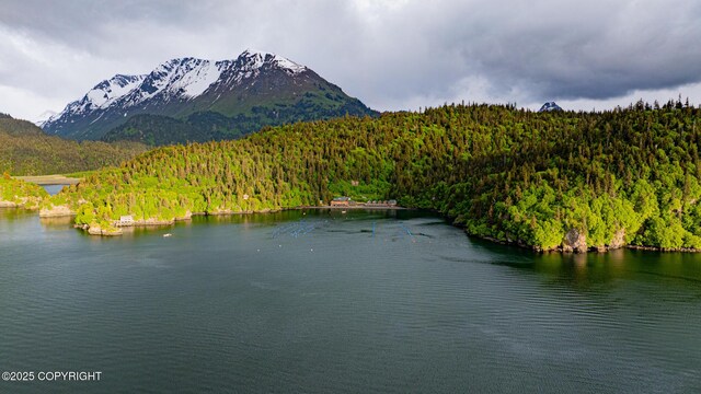 50815 Halibut Cove Rem SW, Homer, AK 99603 - photo 69