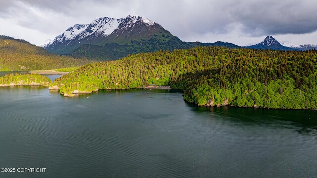 50815 Halibut Cove Rem SW, Homer, AK 99603 - photo 70