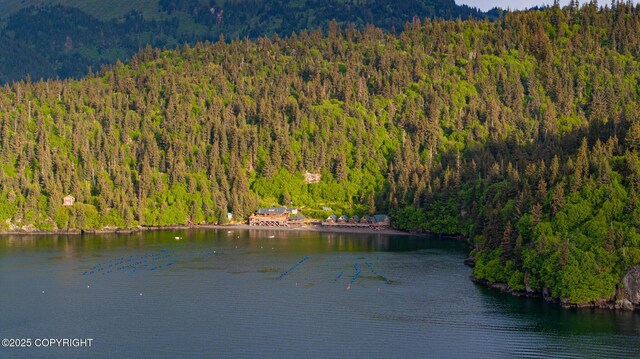 50815 Halibut Cove Rem SW, Homer, AK 99603 - photo 71