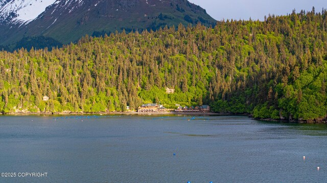 50815 Halibut Cove Rem SW, Homer, AK 99603 - photo 72