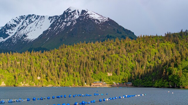 50815 Halibut Cove Rem SW, Homer, AK 99603 - photo 73