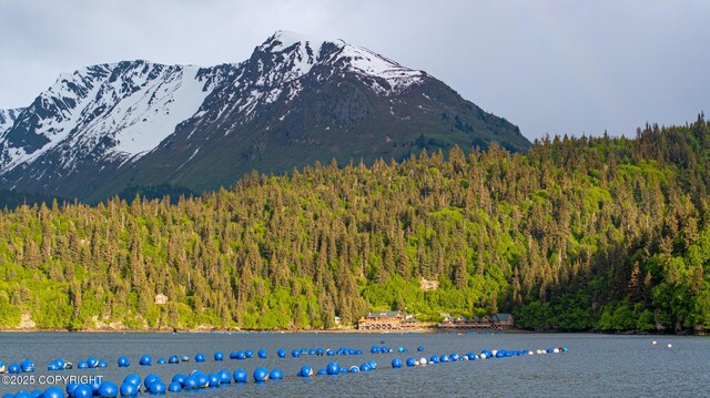 50815 Halibut Cove Rem SW, Homer, AK 99603 - photo 74