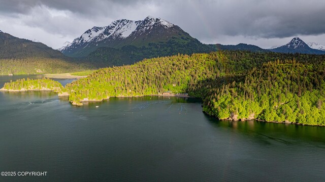 50815 Halibut Cove Rem SW, Homer, AK 99603 - photo 75