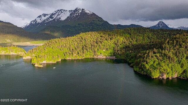 50815 Halibut Cove Rem SW, Homer, AK 99603 - photo 76