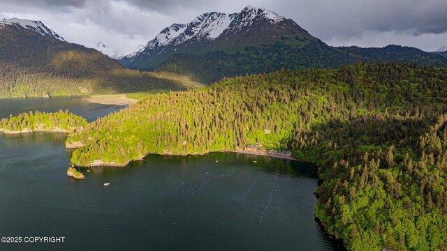 50815 Halibut Cove Rem SW, Homer, AK 99603 - photo 77