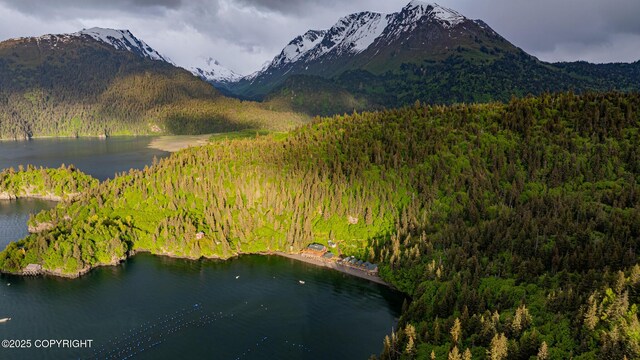 50815 Halibut Cove Rem SW, Homer, AK 99603 - photo 78