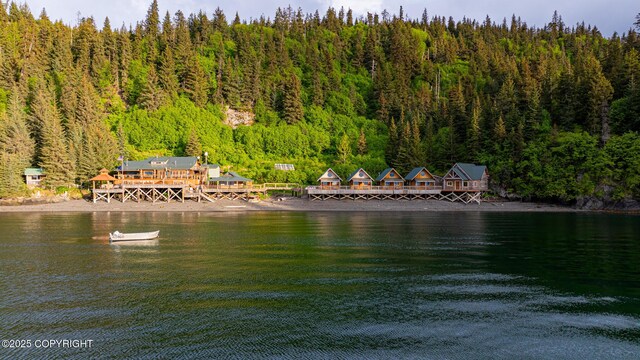 50815 Halibut Cove Rem SW, Homer, AK 99603 - photo 79