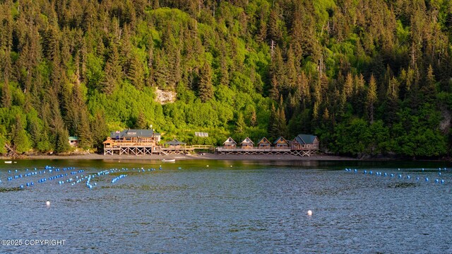 50815 Halibut Cove Rem SW, Homer, AK 99603 - photo 80