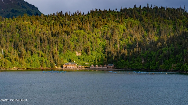50815 Halibut Cove Rem SW, Homer, AK 99603 - photo 81