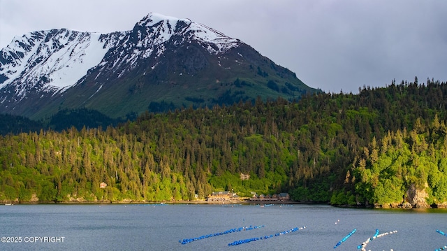 50815 Halibut Cove Rem SW, Homer, AK 99603 - photo 82