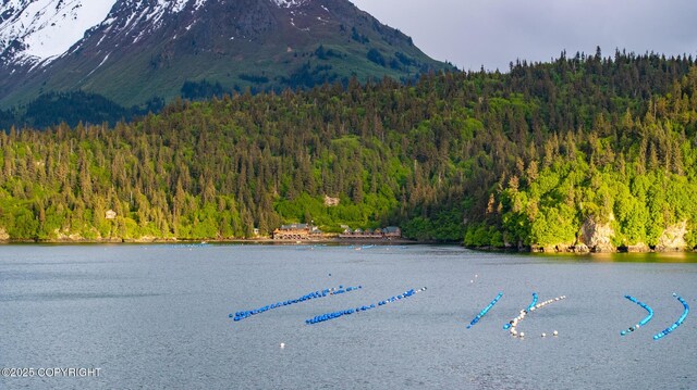 50815 Halibut Cove Rem SW, Homer, AK 99603 - photo 83