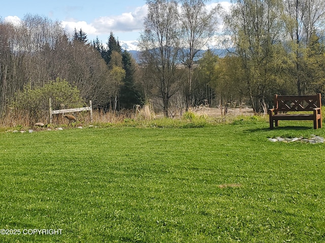view of grassy yard