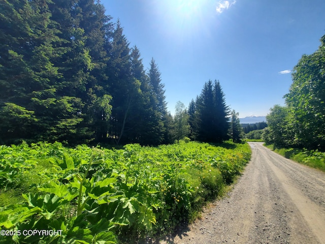 4510 Thomas Ct, Homer, AK 99603 - view of dirt / gravel road with a view of trees