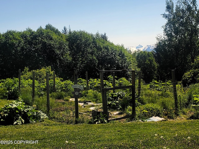 4510 Thomas Ct, Homer, AK 99603 - view of grassy yard