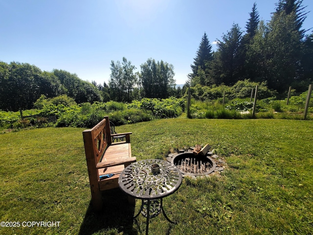4510 Thomas Ct, Homer, AK 99603 - view of grassy yard featuring a fire pit