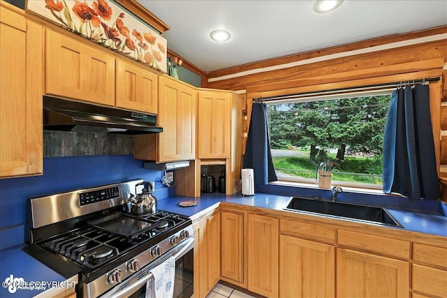 4510 Thomas Ct, Homer, AK 99603 - kitchen with stainless steel gas range, under cabinet range hood, recessed lighting, and dark countertops